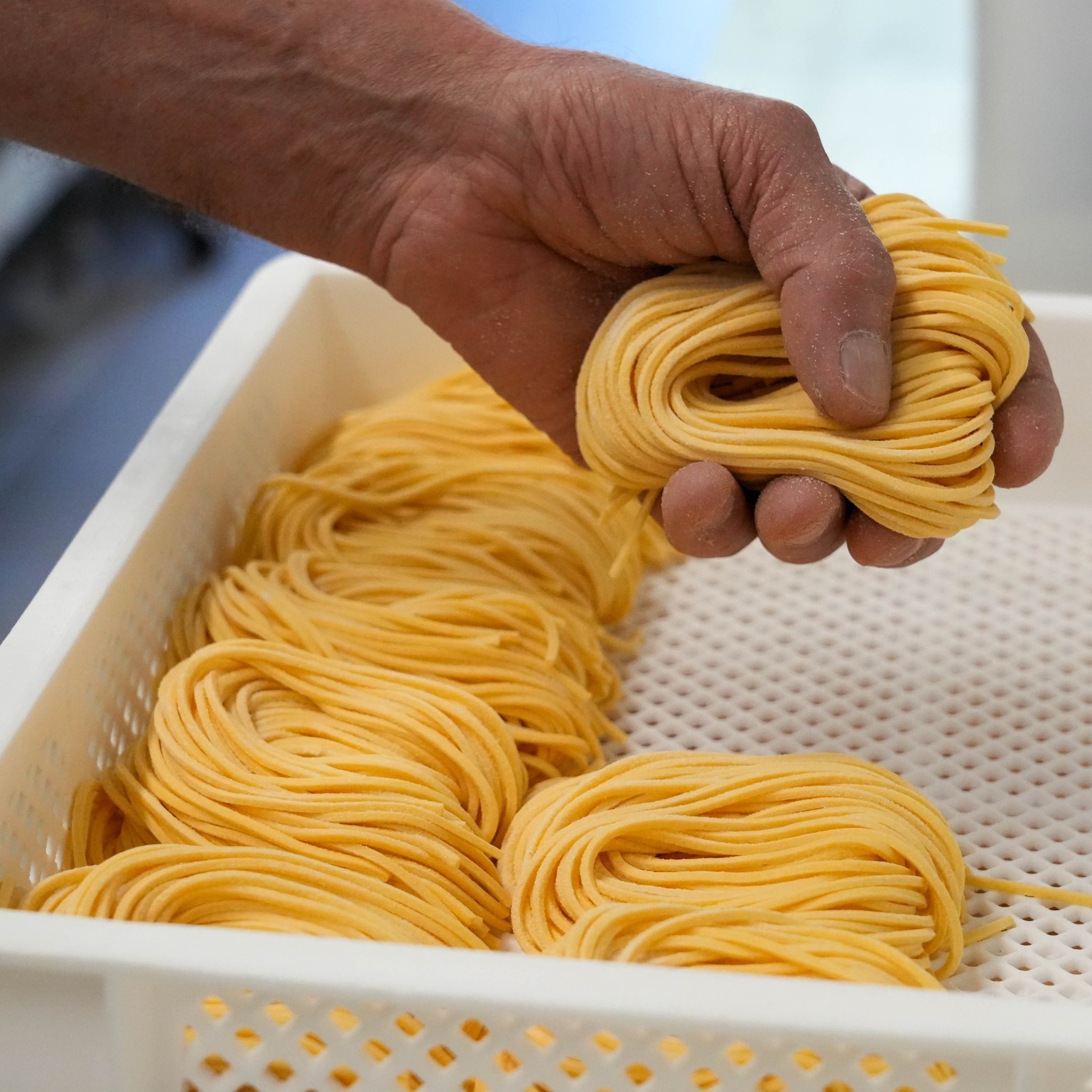 Pasta fresca artigianale ligure
